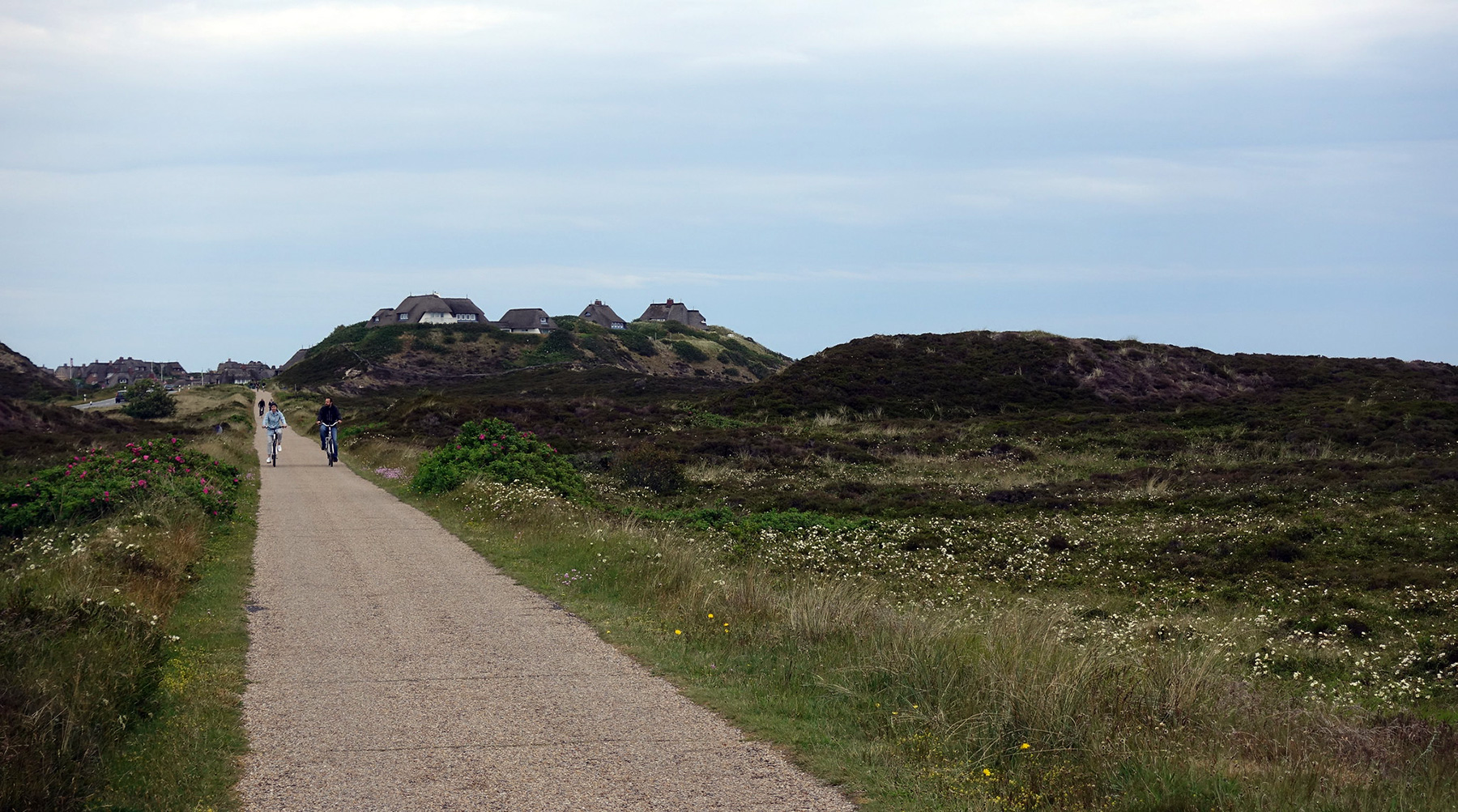 Typischer Radweg im Norden von Sylt