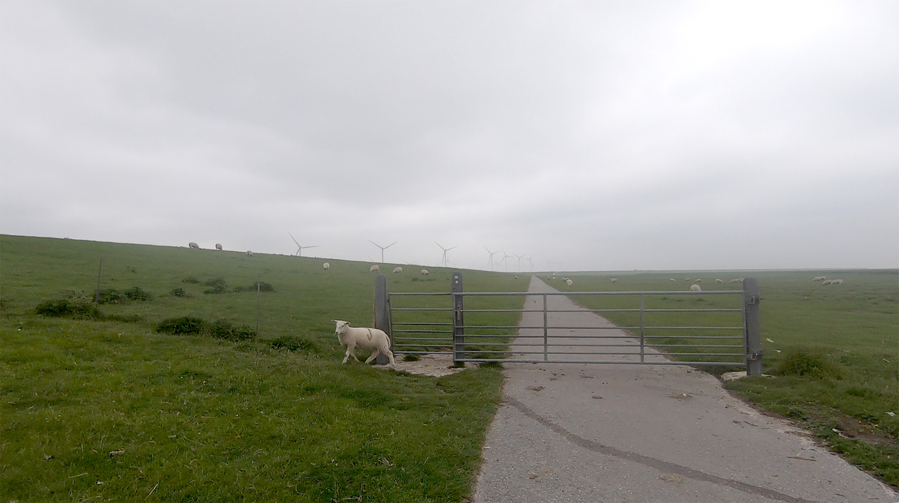 Endlose Deichwege Watt