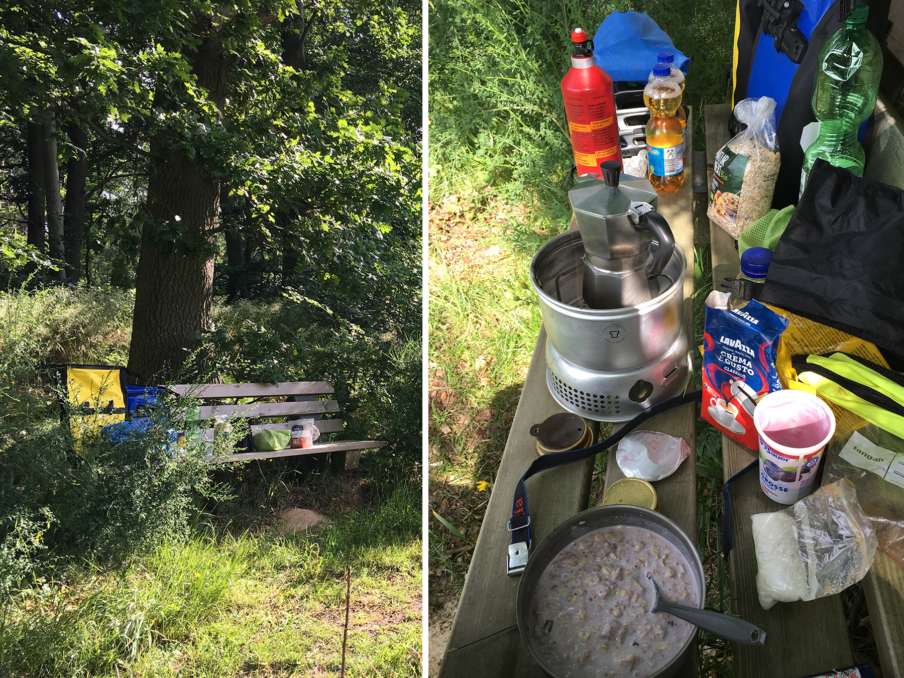 Frühstück am Waldrand