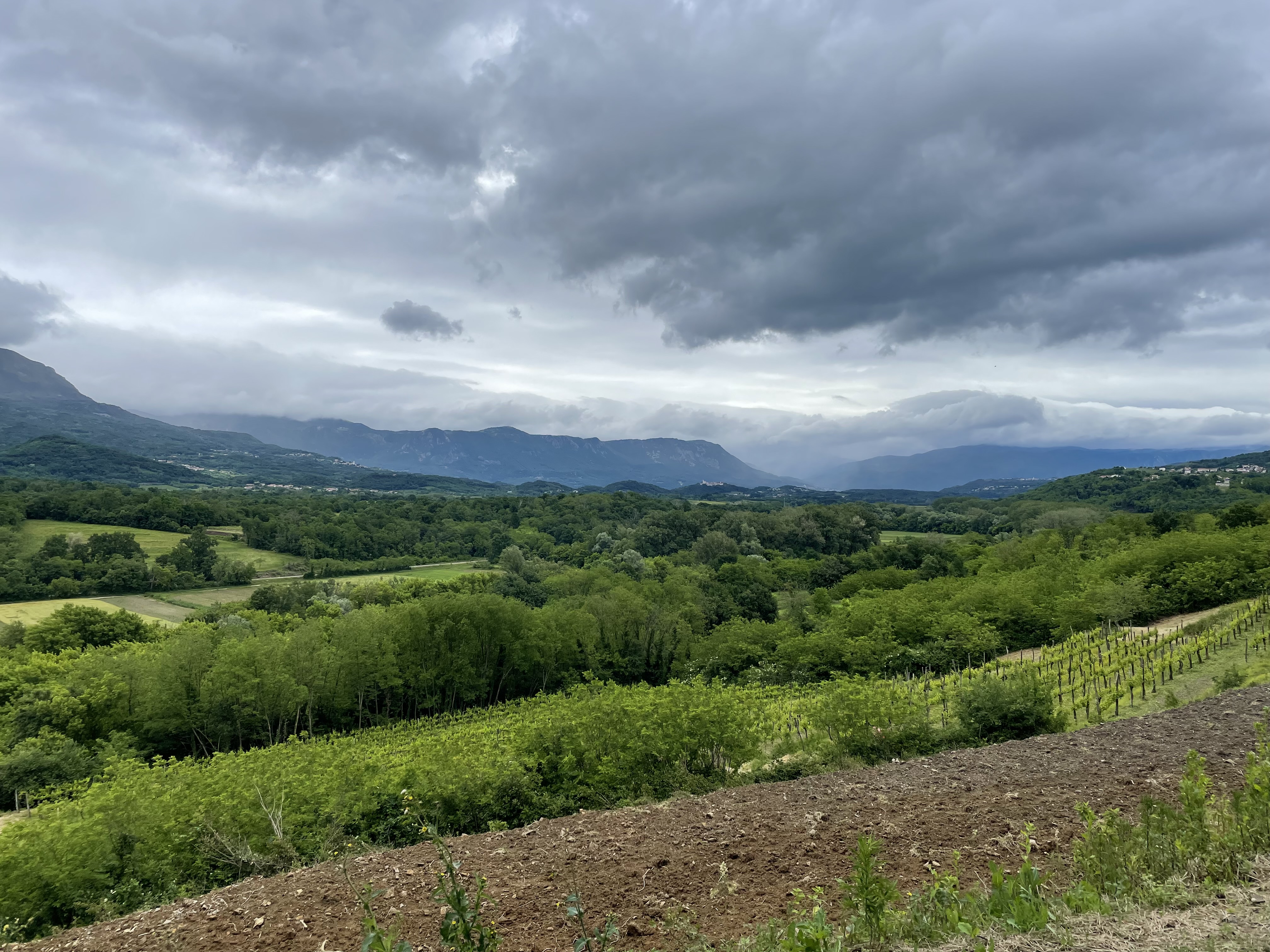 Schöner Weitblick ins Tal kurz nach dem Start