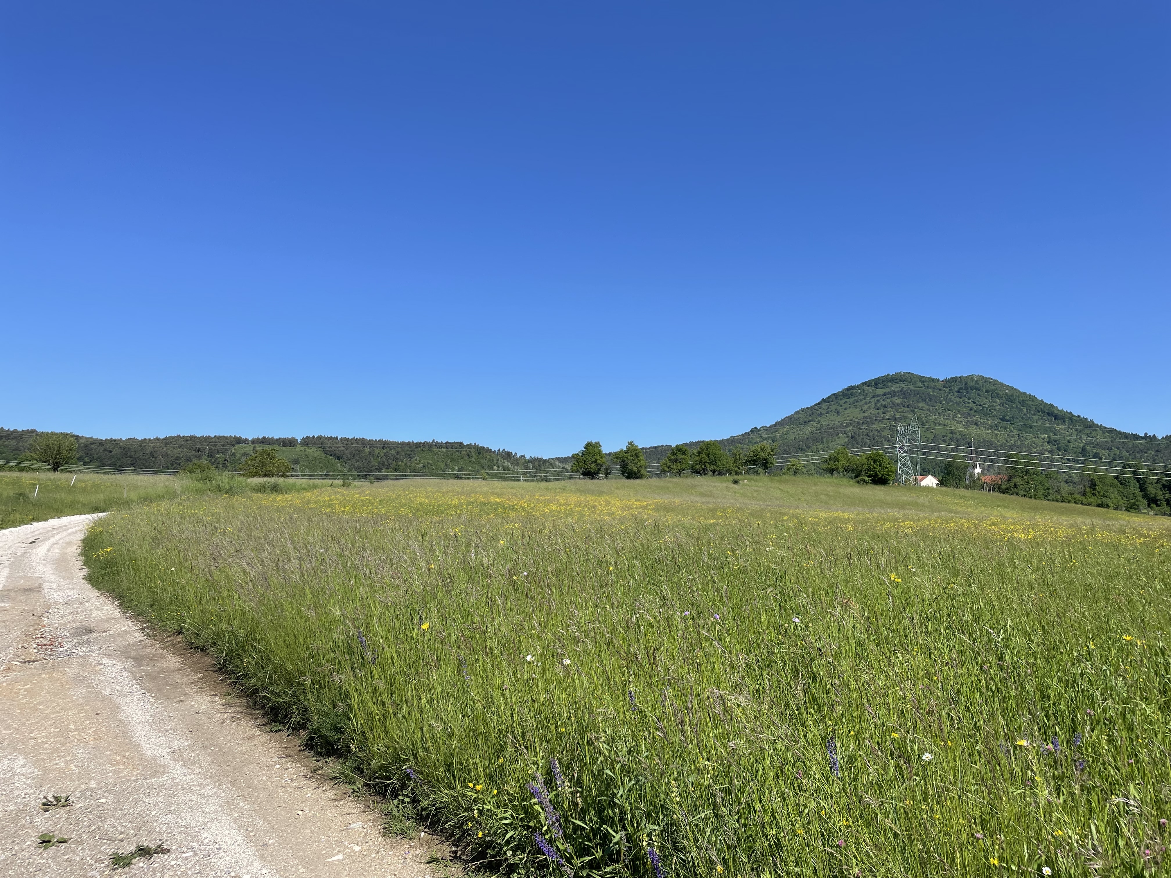 Endlich Sonne, schöne Landschaft auf dem Weg zur Felsenburg
