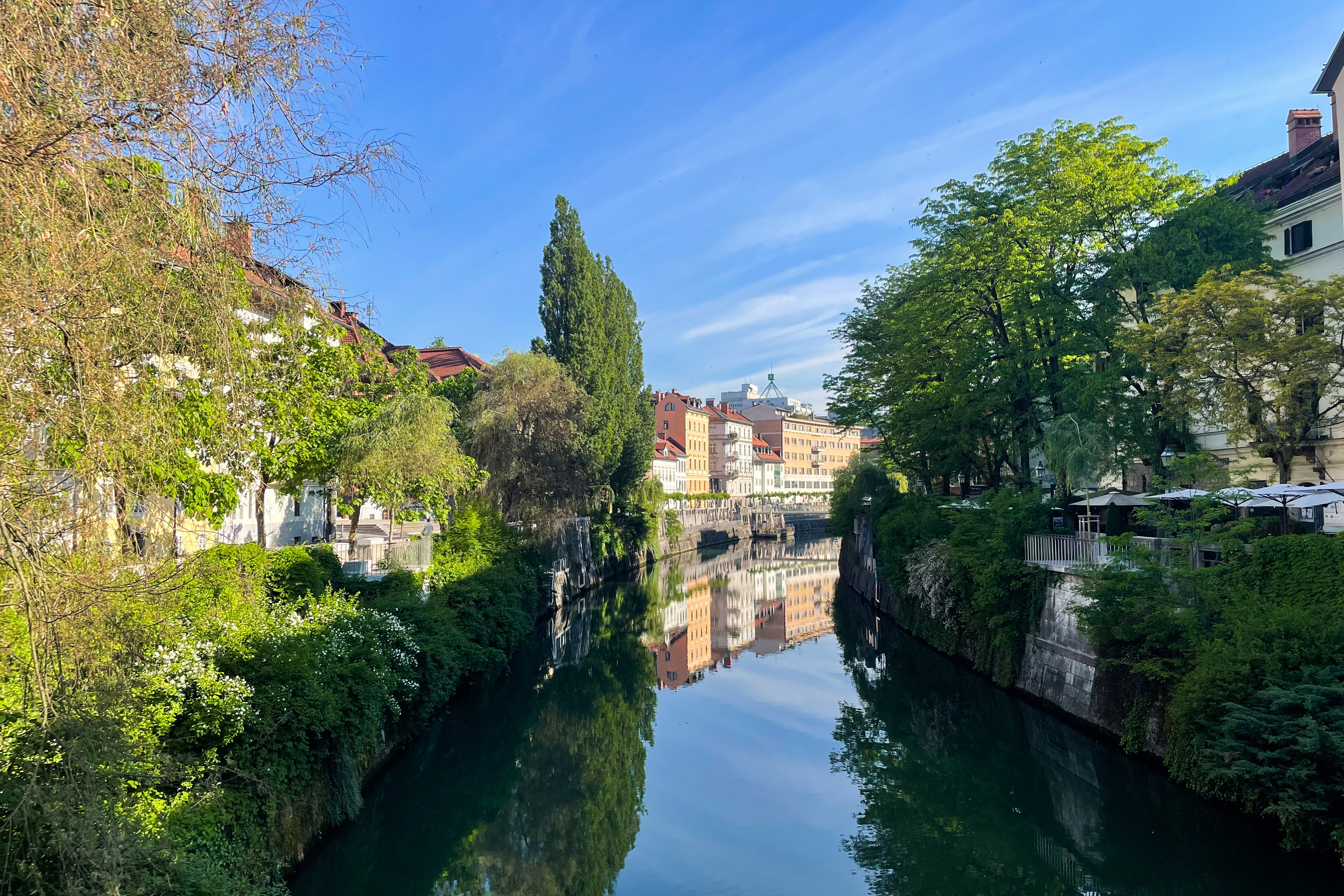Morgendliche Idylle an der Ljubljanica