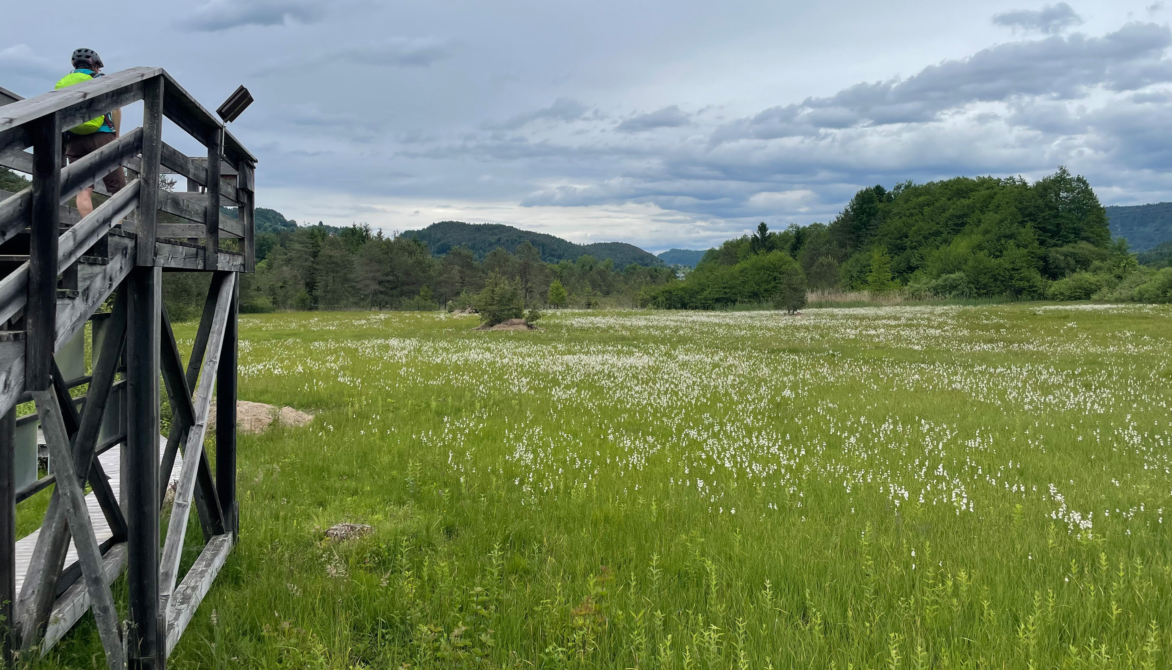 Wie aus dem nichts stehen wir plötzlich in dieser schönen Moorlandschaft